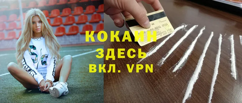 Cocaine FishScale  Анадырь 